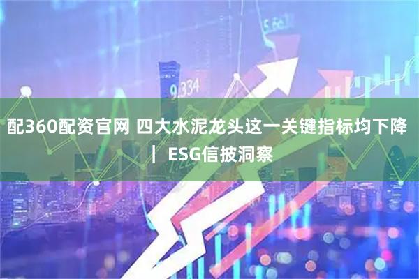 配360配资官网 四大水泥龙头这一关键指标均下降 ｜ ESG信披洞察