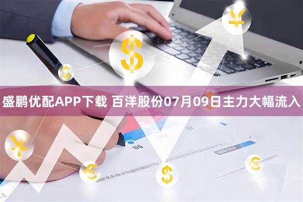 盛鹏优配APP下载 百洋股份07月09日主力大幅流入