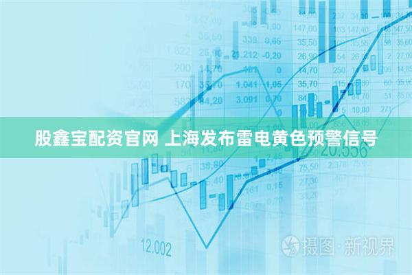 股鑫宝配资官网 上海发布雷电黄色预警信号