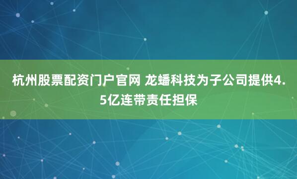 杭州股票配资门户官网 龙蟠科技为子公司提供4.5亿连带责任担保